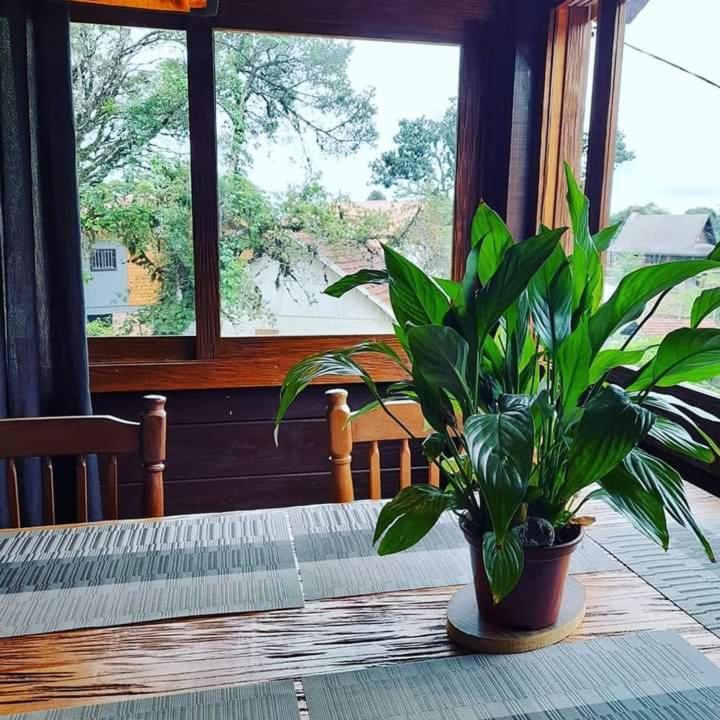 Refugio Jardim Mariana Hotel กาเนรา ภายนอก รูปภาพ